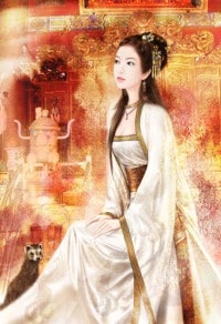 精彩集合